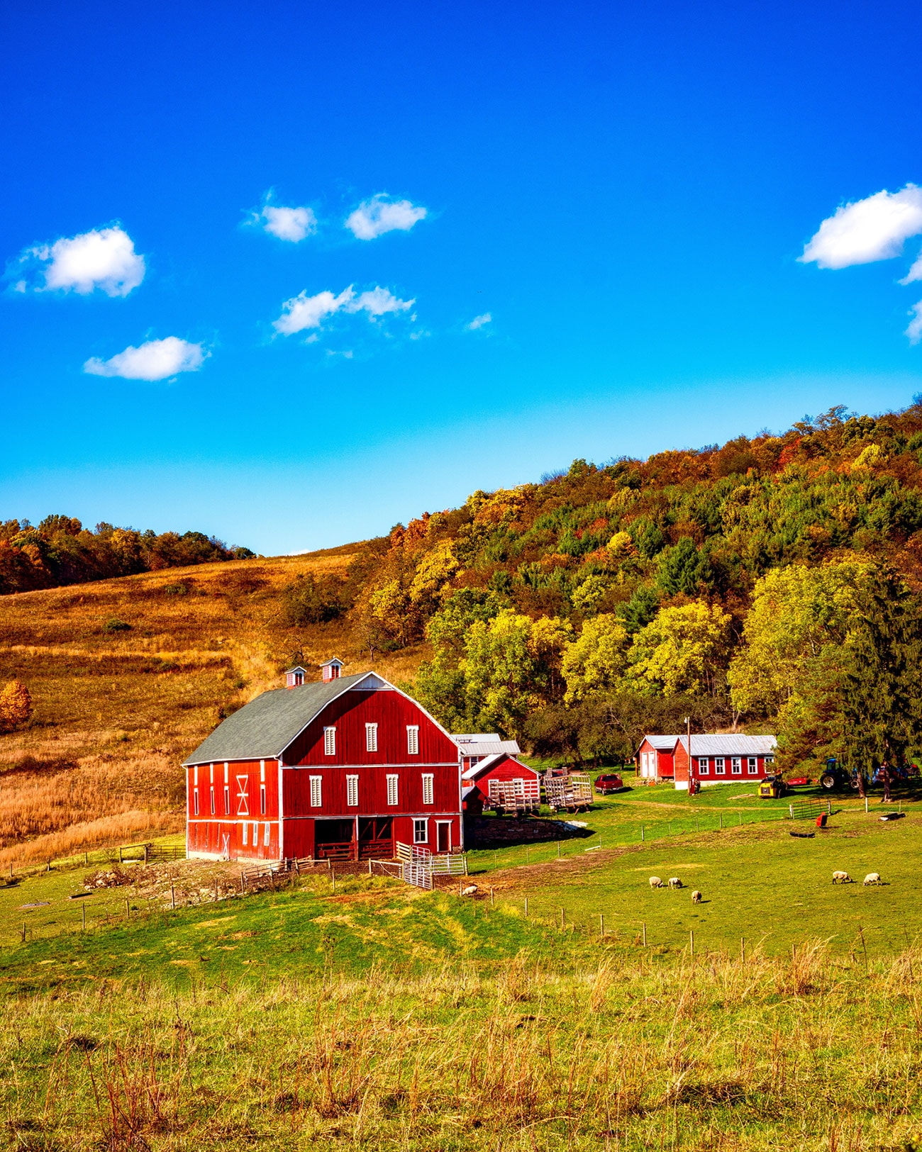 Ft-Hill-Farm-Pennsylvania – Somerset County Pennsylvania Chamber of ...